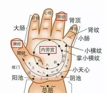 五指与五脏的对应: 拇指—脾,食指—肝,中指—心,无名指—肺,小指—肾