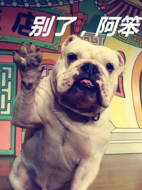 别了，阿占！