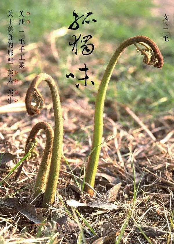 草根的蕨菜妹妹本身是没有多少味道的,全靠鸡丝,海米,五花肉,火腿等