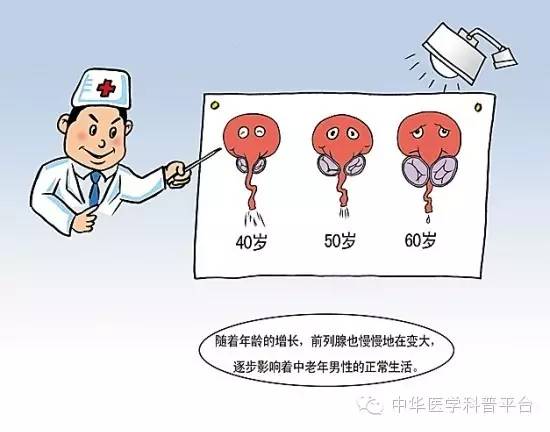 为什么到老年以后前列腺80%都会产生增生呢