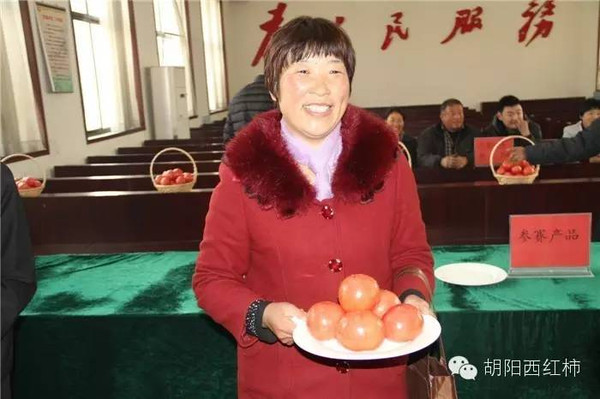 山东费县胡阳镇第五届西红柿品质擂台赛3月1