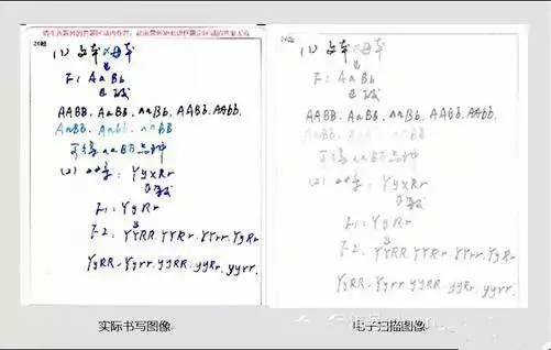 登录查看大图