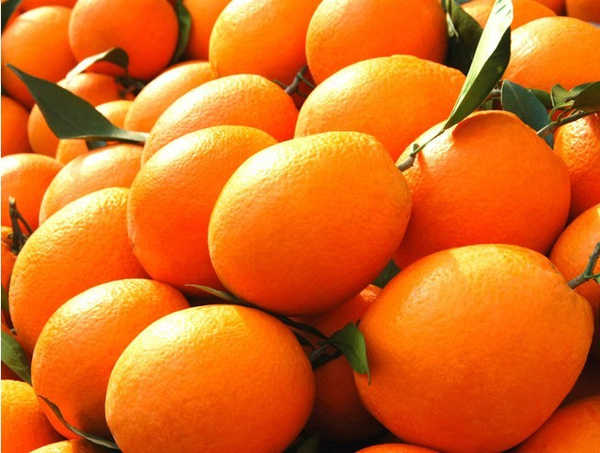 橙子皮的功效与作用很大