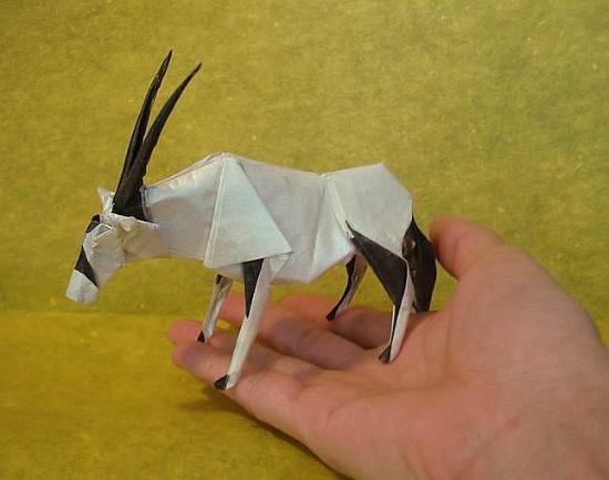 超乎想像的动物折纸(组图,日本折纸,动物立体手工折纸图解,折纸花