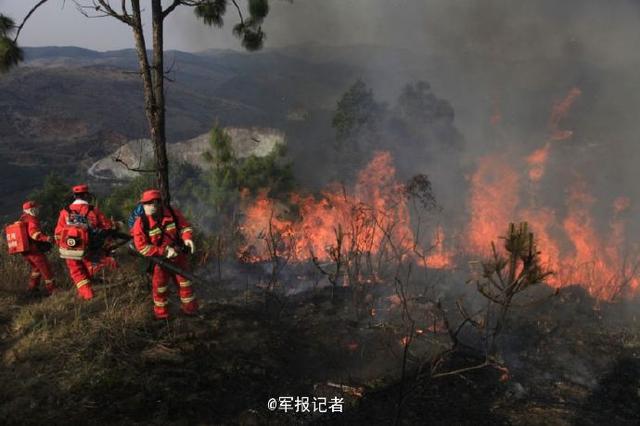 云南玉溪森林火灾烧到昆明境内 14集团军救援