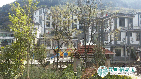 百名"春天体验团"团员走进五华区陡坡村赏春天(组图)