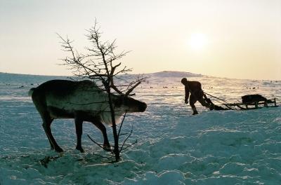 尔干猎人伽菲尔,俄罗斯西伯利亚泰梅尔半岛。