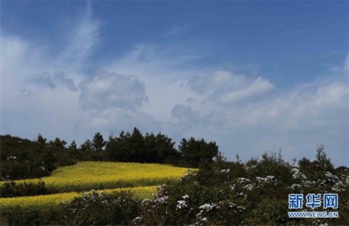 罗平县马街镇山地美景如画.新华社记者杨宗友摄