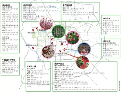 清明节期间，多家市属公园将举办祭扫踏青等活动。记者从市公园管理中心获悉，7家市属公园及园博馆将举办多种游园活动，市民可登录市公园管理中心及各公园官方网站、政务微博进行查询。今年提前入春，北京植物园的桃花已“花满枝头”。玉渊潭樱花及陶然亭的海棠也将于清明节前逐渐进入盛花期。