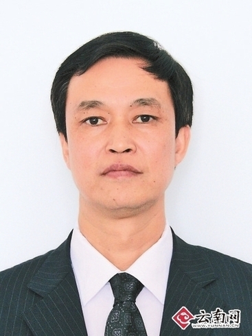 历任巧家县副县长,昭通市昭阳区副区长,区委常委,政法委书记,区委副