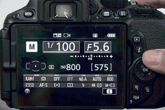 尼康d5500自动对焦模式设置演示