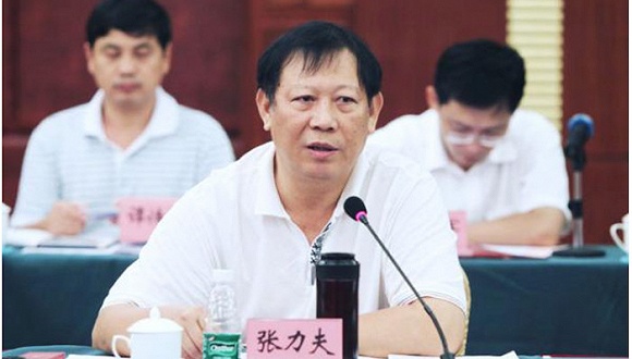 海南省人大原副主任张力夫被开除党籍 按副科