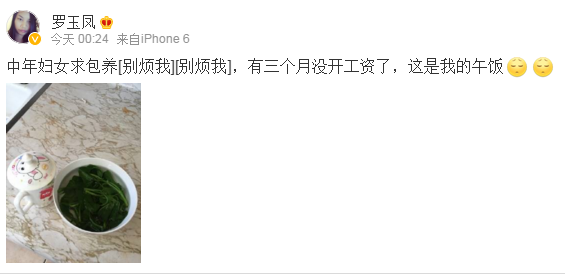 凤姐自称三个月没发工资求包养 网友:回国,我养你