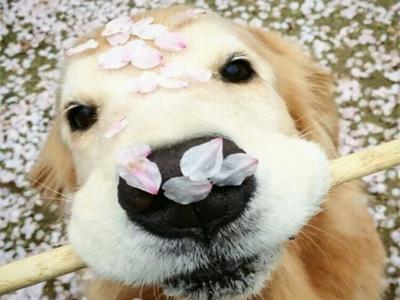 来看看你的星座是不是玻璃心