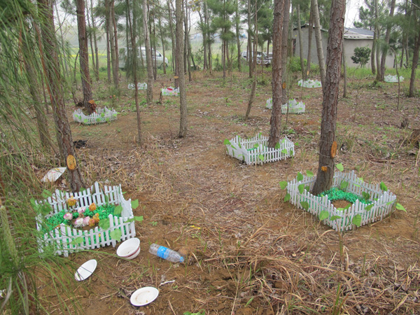 宠物墓地里安葬着二十余只宠物。 文内图均来自澎湃新闻记者 周琦