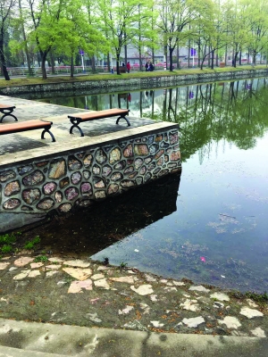 孩兒落水的中央 丁密斯供圖
