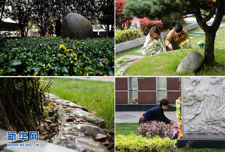 "节地生态葬"厚养薄葬"致力破解墓地资源紧张难题(组图)