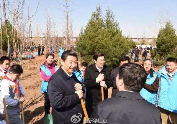 图为：2015年4月3日，北京朝阳区孙河乡，习近平同大家一起植树。当天，七常委参加首都义务植树活动。