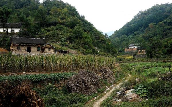 陕西山阳县石佛寺社区麻庄河村是“尘肺病”村庄，而今已被查出的100多个尘肺病人中，已有30多人去世。