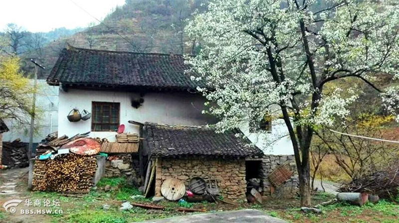 乡下人家你眼中的乡村景致是怎样的用一段话写下来 很