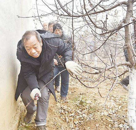 上世纪80年月,他们整地所用的火药到手艺制造,不只要自行肯定质料配比,还要在乡村杀猪用的大锅里炒制。有一次,引爆的火药未定时爆破,李保国上前检察时忽然发作爆炸,走运的是,他仅仅被崩了个大跟头。