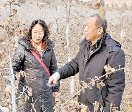 人和农夫孤芳自赏,心和农夫贴在一同。多年来,李保国用至心换回了真情。