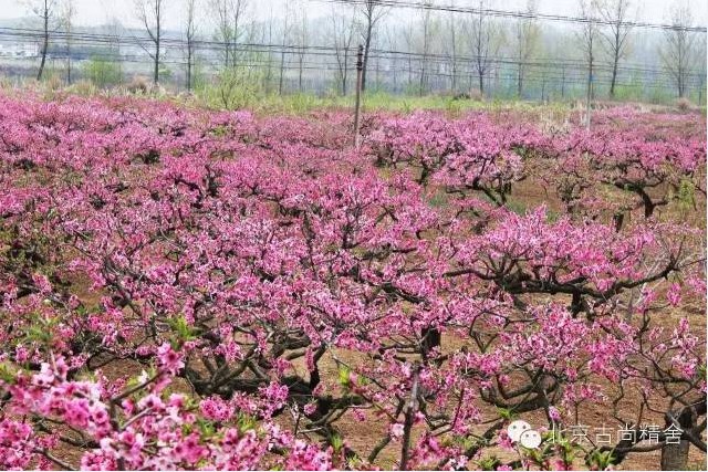 下为展览开幕式纪实视频,没有高大上,彻底民俗化,很接地气。马老师常比喻,书法像“情人”,也是可以给“情人”结一次婚的嘛