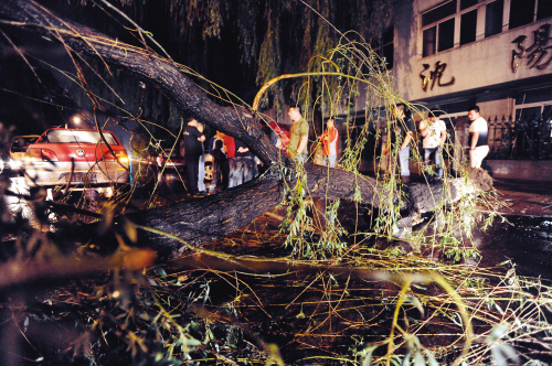 沈阳女子雨夜跪爬 一路跪爬2小时只为生计