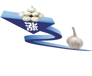 昨日,市物价局公布了近日监测蒜头价格的结果,数据显示,受到供应减少的影响,扬州市区各大农贸市场蒜头零售均价8元/500克,比去年同期涨了近一倍。记者走访市场注意到,如今菜价依然高昂,以前“不值钱”的冬瓜竟卖到了6元/500克,按照目前鸡蛋的价格,能抵上10个鸡蛋了。