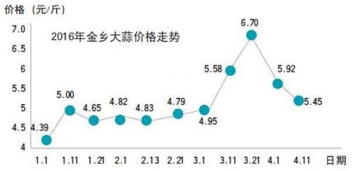 山东鲜蒜将上市蒜价回落 炒蒜的有人一单就亏几十万