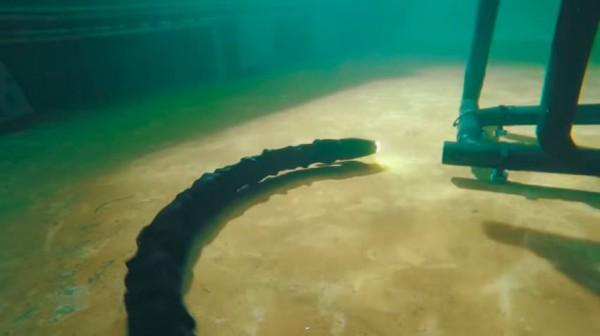 【组图】挪威科学家开发蛇形机器人可用于海底调查工作,水下机器人