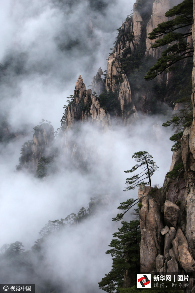 黄山云海阅读答案,中国黄山交通违章查询,黄山云海的特色,黄山风景区