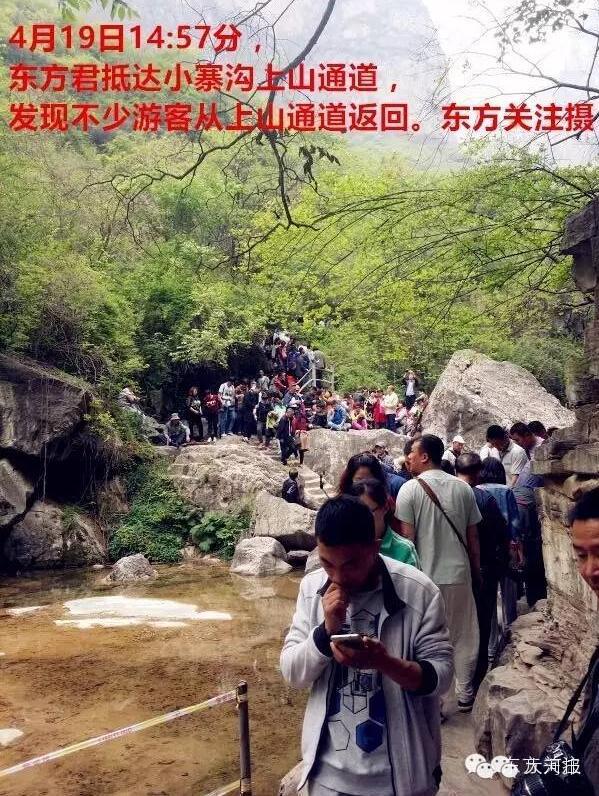 真相扑朔迷离!原冠生园董事长之死猴子买单?云台山:不会推卸责任