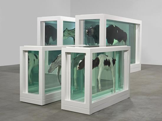 艺术家达明·赫斯特用甲醛溶液浸泡制作的自然历史系列作品不仅能渗出