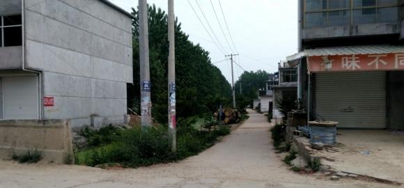 顺着图中的这条巷子出来,第四排那是徐增志家的违法现场。