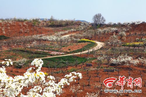 朱鹮湖到梨园资深驴友拍洋县 美景和大奖都可以有(组图)