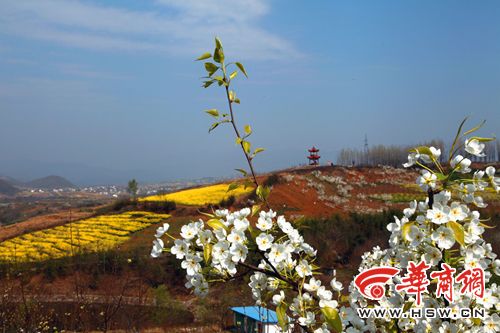 朱鹮湖到梨园资深驴友拍洋县 美景和大奖都可以有(组图)