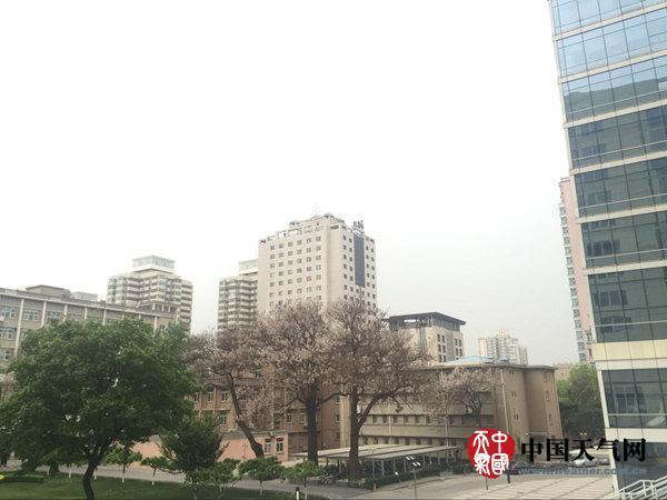 今晨，北京海淀天气阴沉。(张永宁 摄)