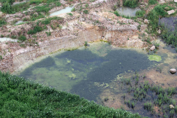 地块中部的积水区域。