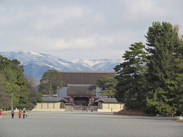 在日本京都飞无人机拍樱花 中国学生被送检