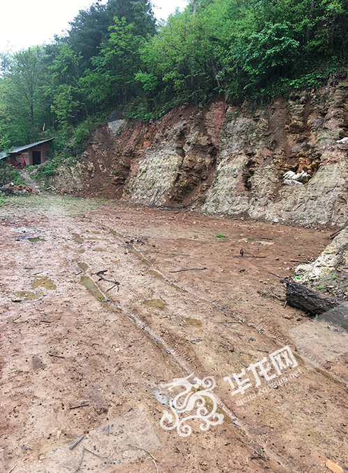 罗文廷挖出牙齿形状石头的地方。 通讯员 刘朝明 摄