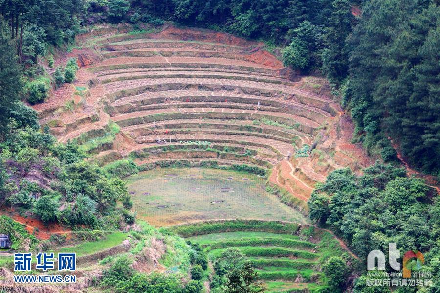 江西遂川山区梯田 旖旎万千犹如天然油画板(组图)