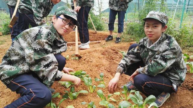 诸暨市草塔镇中:社实践活动,我们是认真的(组图)孟连县美食图片