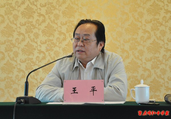 中国红十字会赈济救护部部长王平升任副会长