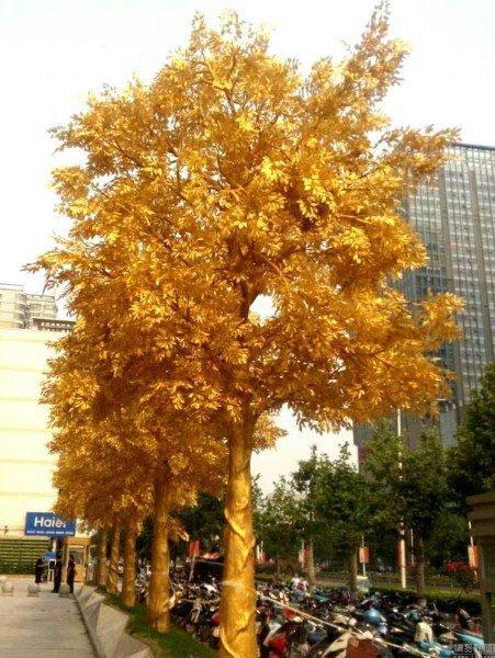 5月5日，河南省郑州市中原路华山路附近街头，五棵金闪闪的“黄金树”惊现街头。现场，五棵“黄金树”被栽植在一处邻街大厦广场前，约两层楼高的大树从树干到树梢通金黄色，显得十分耀眼夺目。“这树是半月前栽到广场上的，和附近法桐树相比太晃眼了！”附近居民称，“开奖直播们走进查看，发现黄金树的材料基本是由钢材和塑料构成，估计价值不菲！”有市民表示，这五棵树也太灿了，时下已经进入夏季，在强烈的阳光下有点过于灿烂晃眼了！