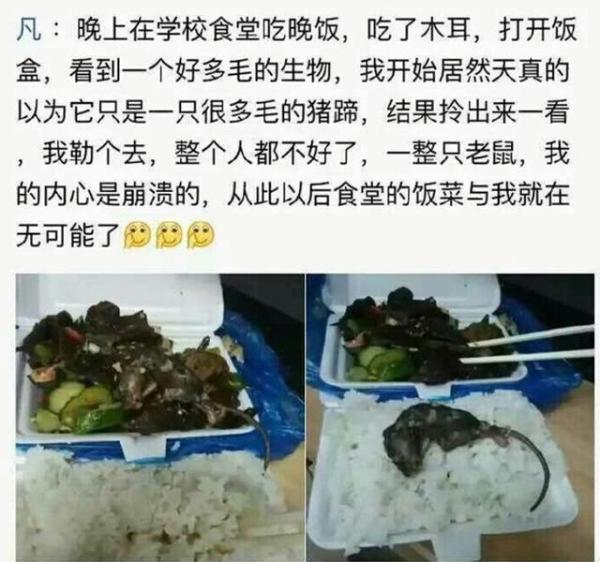 《食堂饭菜惊现老鼠》的网帖截图。