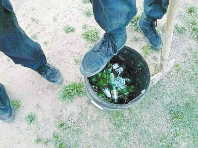 保安收集的啤酒瓶碴儿 网友供图