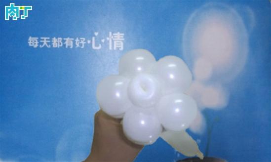 【长条魔术气球教程】魔术气球花图解 简单魔术气球造型教程