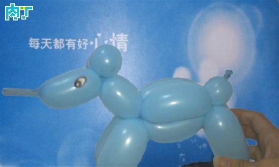 气球造型入门之简单小动物犀牛的做法图解