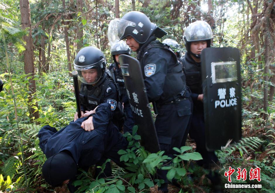 湖北特警跑到树林内野外演练(组图),湖北高考志